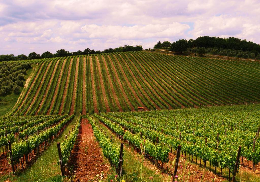 B&B Grano E Lavanda Greve in Chianti Εξωτερικό φωτογραφία